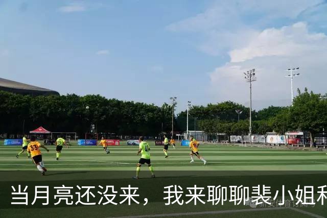 当月亮还没来，我来聊聊裴小姐和董小姐的那些事